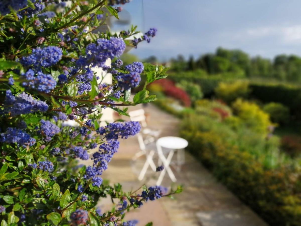 Meadow Cottage Bed & Breakfast Hawkhurst Eksteriør billede