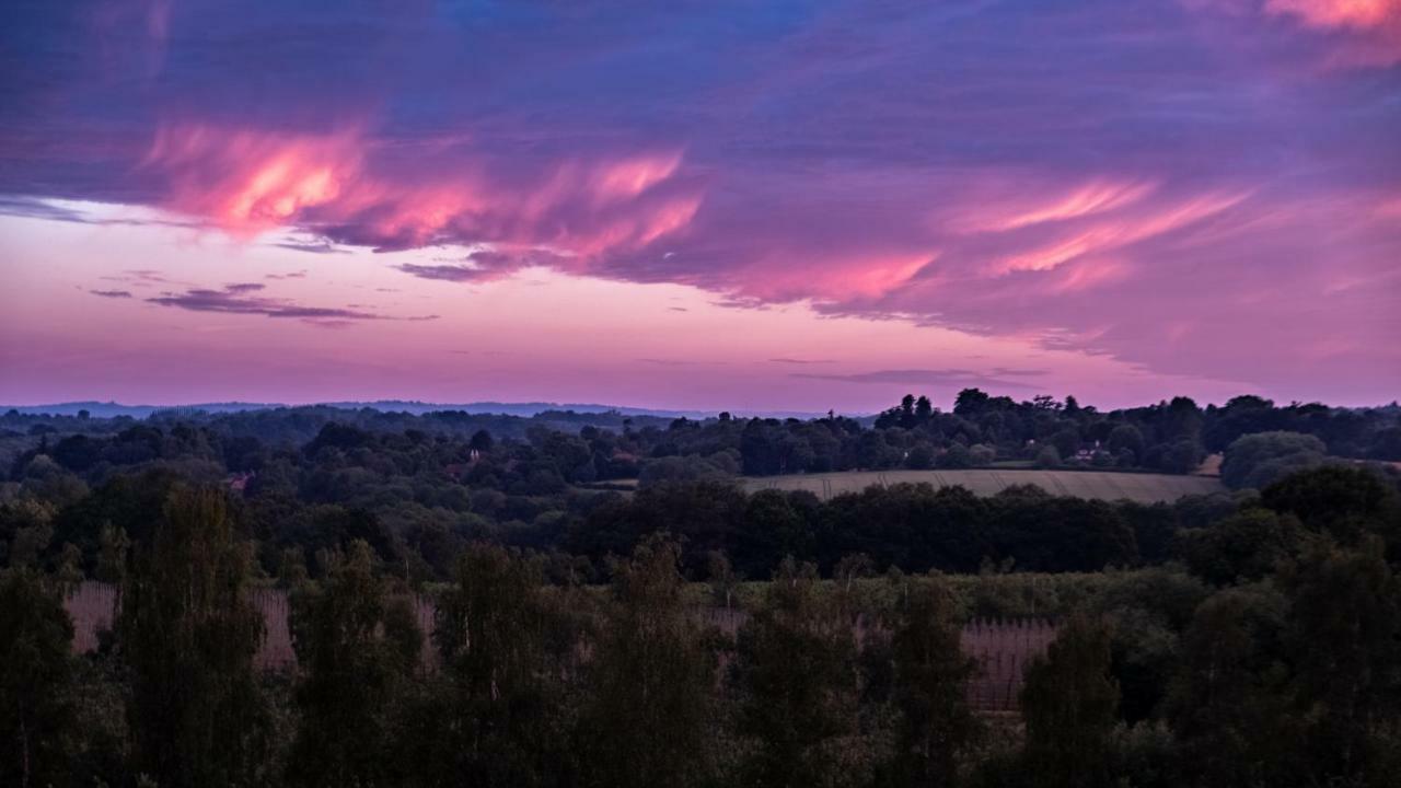 Meadow Cottage Bed & Breakfast Hawkhurst Eksteriør billede